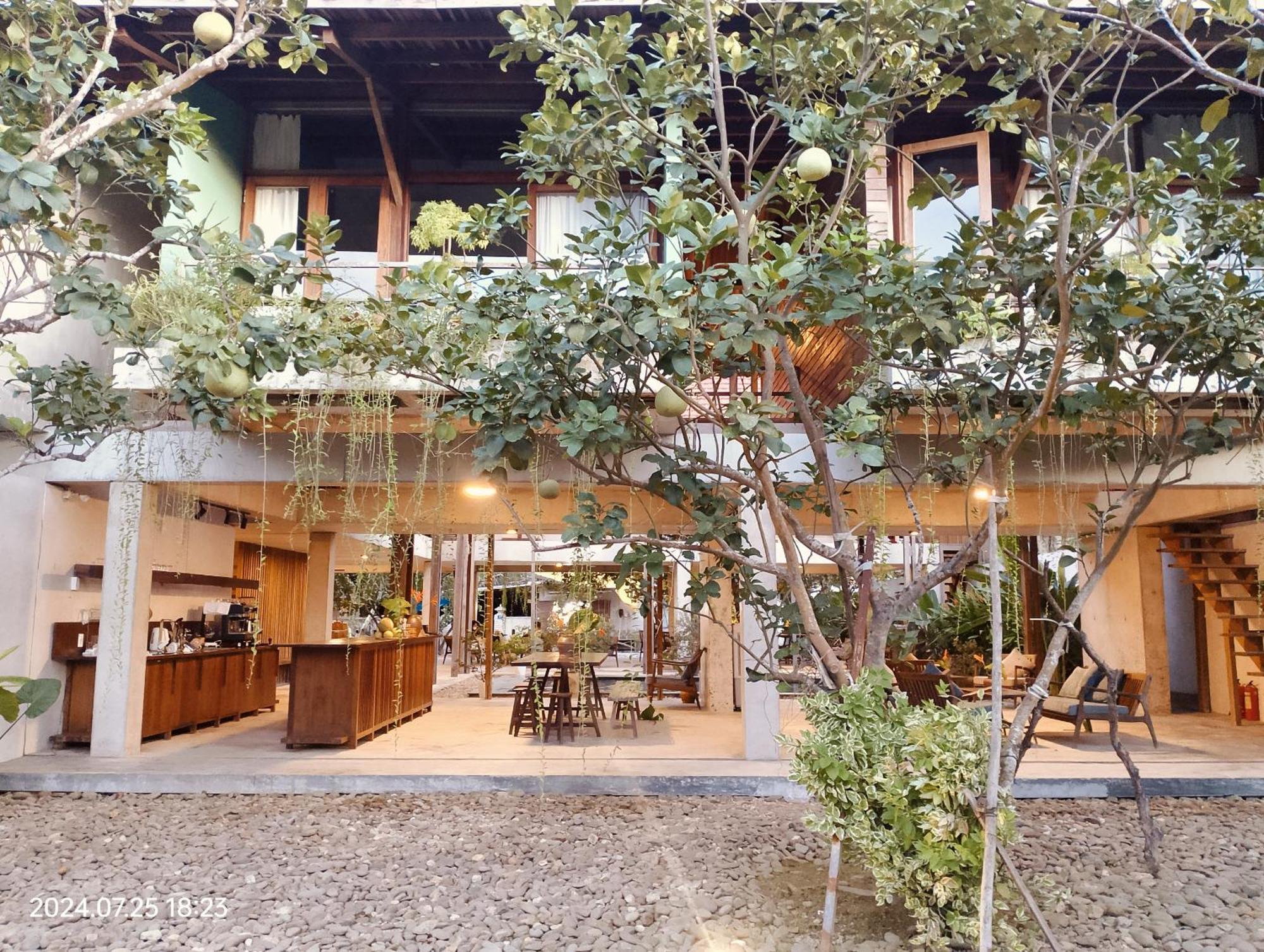Hachi Homestay & Spa هوي المظهر الخارجي الصورة