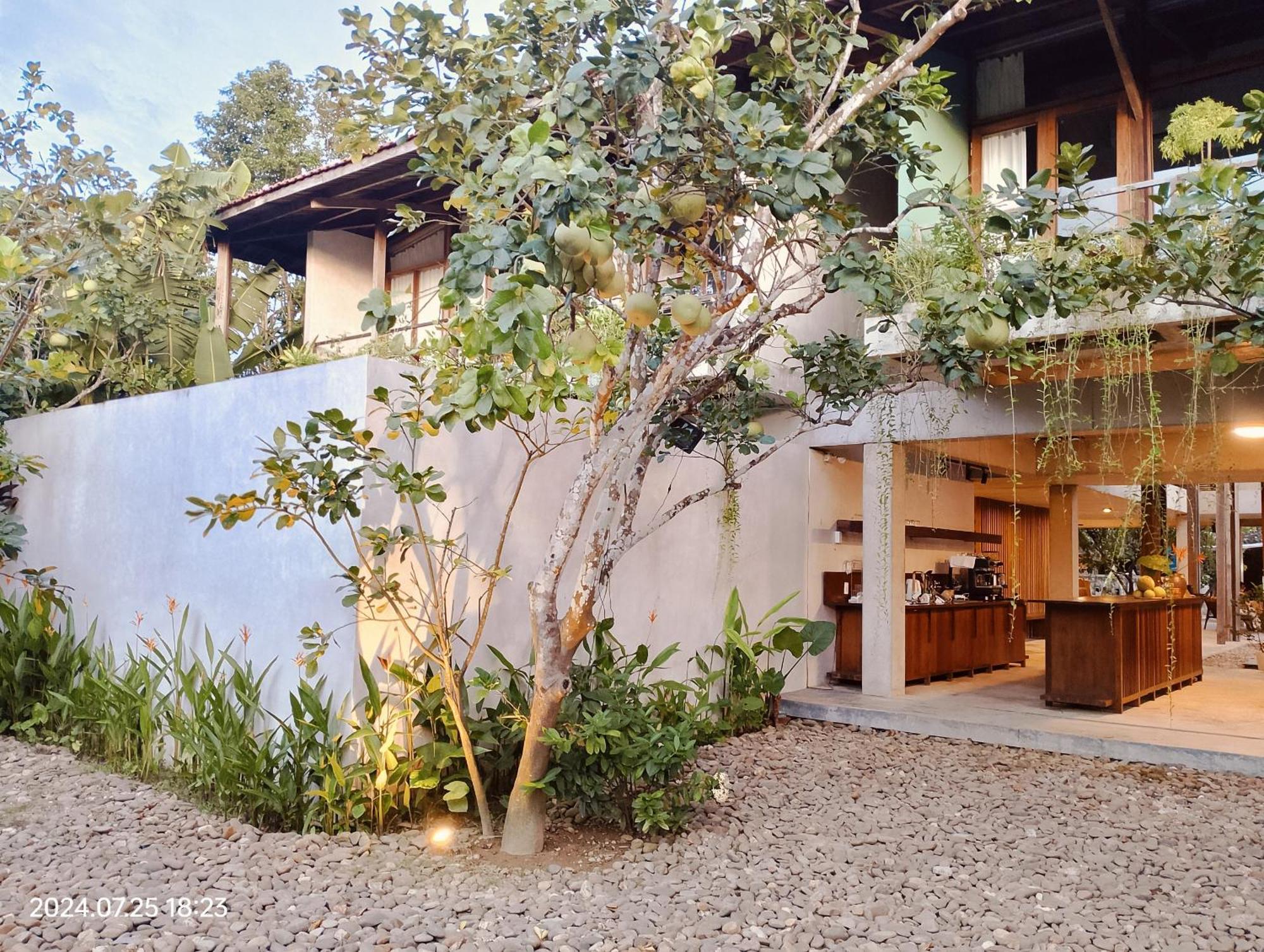 Hachi Homestay & Spa هوي المظهر الخارجي الصورة
